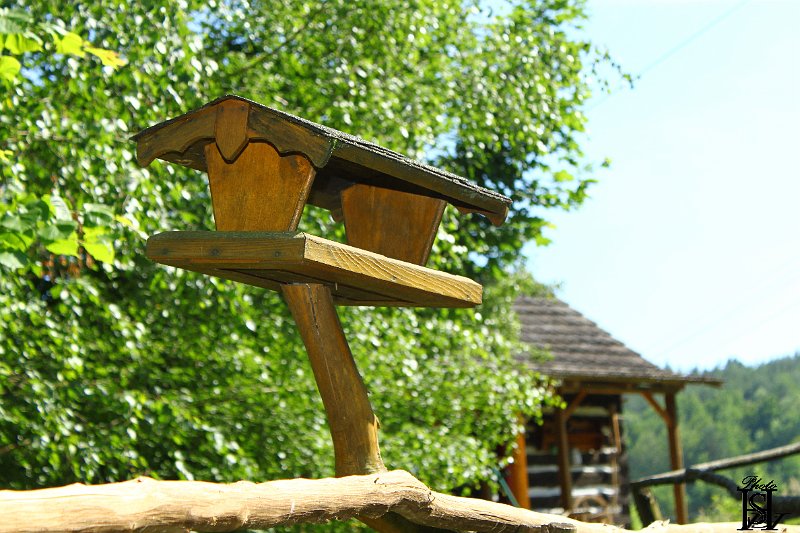 Poliaci na Tarasu  64.JPG